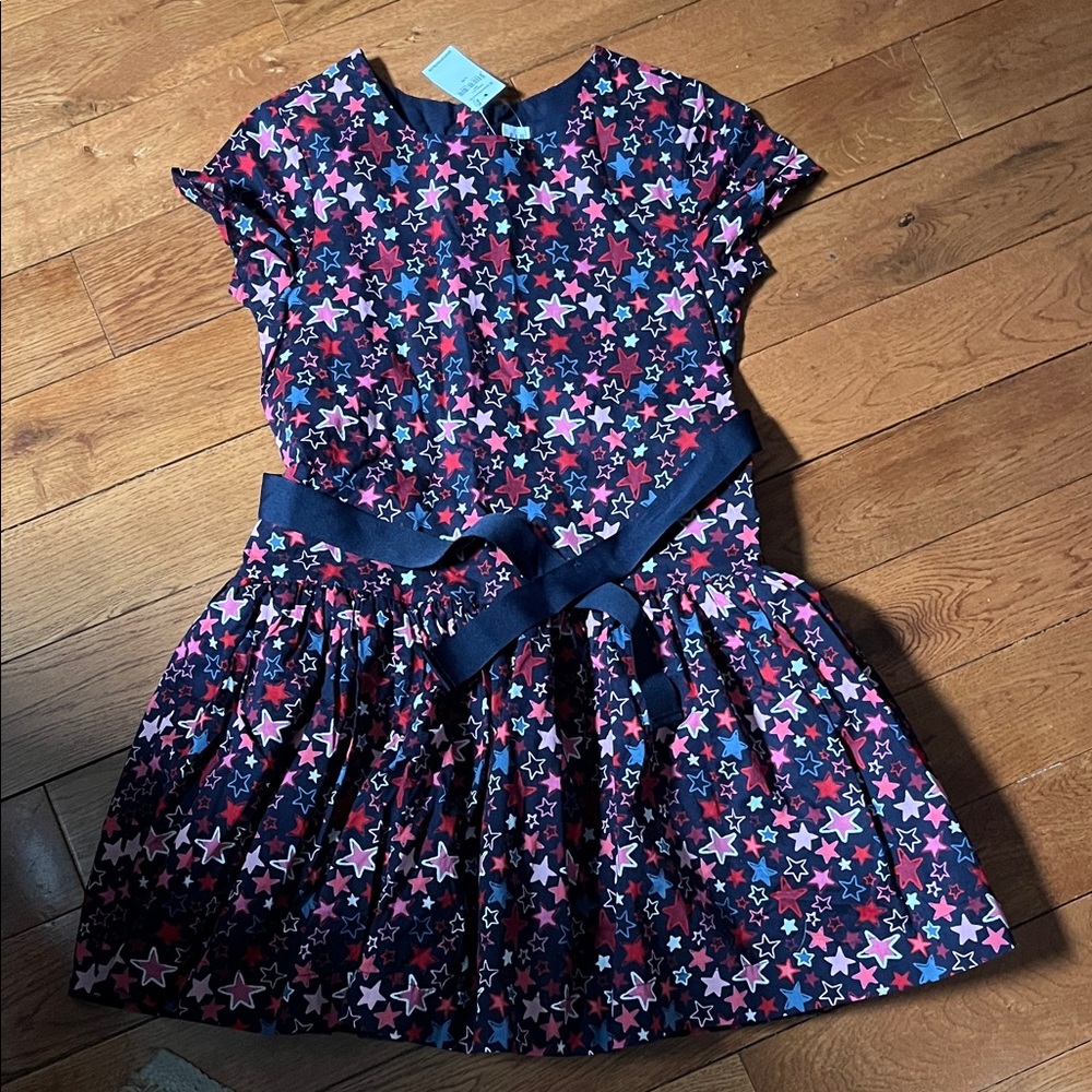 GAP Kids Starry Pink and Blue Kids Dress